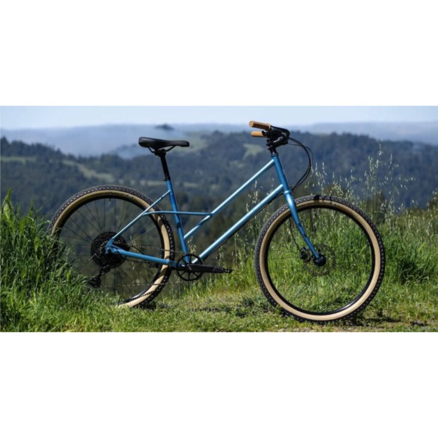 Marin Larkspur 1