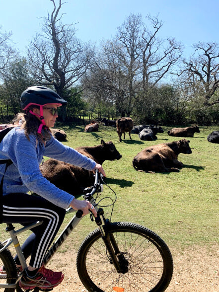 Person riding a bicycle near cows in a field