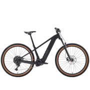 Trek Powerfly + 4 Gen 5