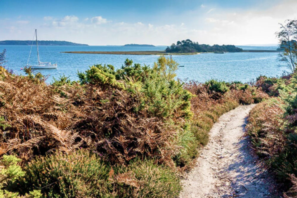 Image of a scenic landscape with the sea in the distance