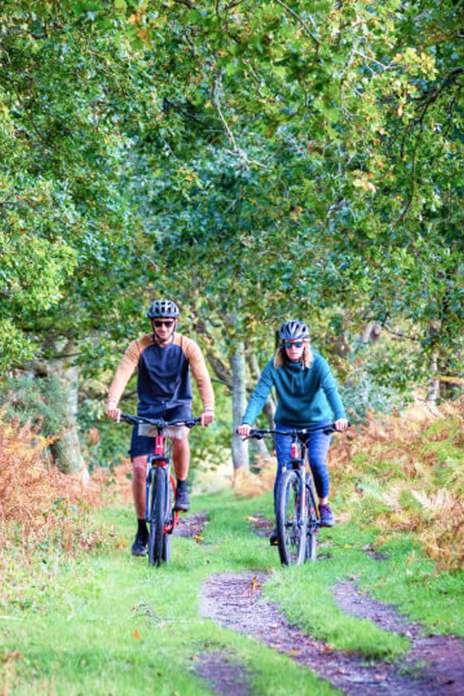 Two people riding bicycles on a trail through a forest.