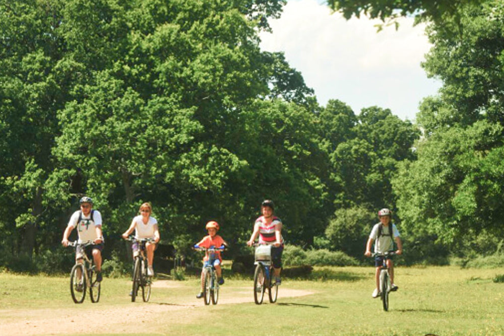 Five people riding bicycles on a dirt path through a forest