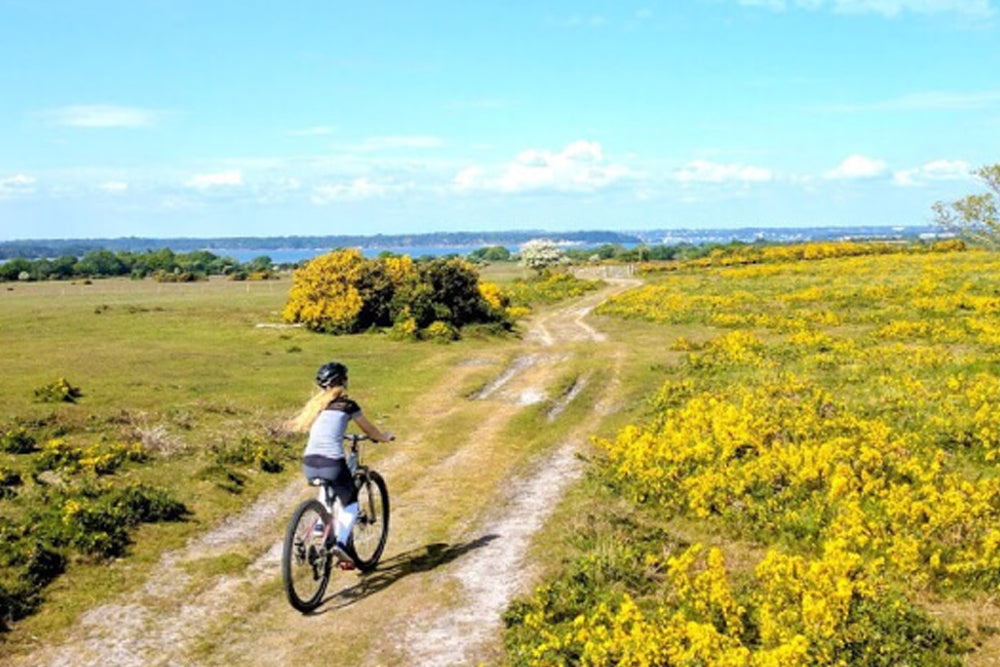 Person riding a bike on a dirt path through a field with yellow flowers and green grass.