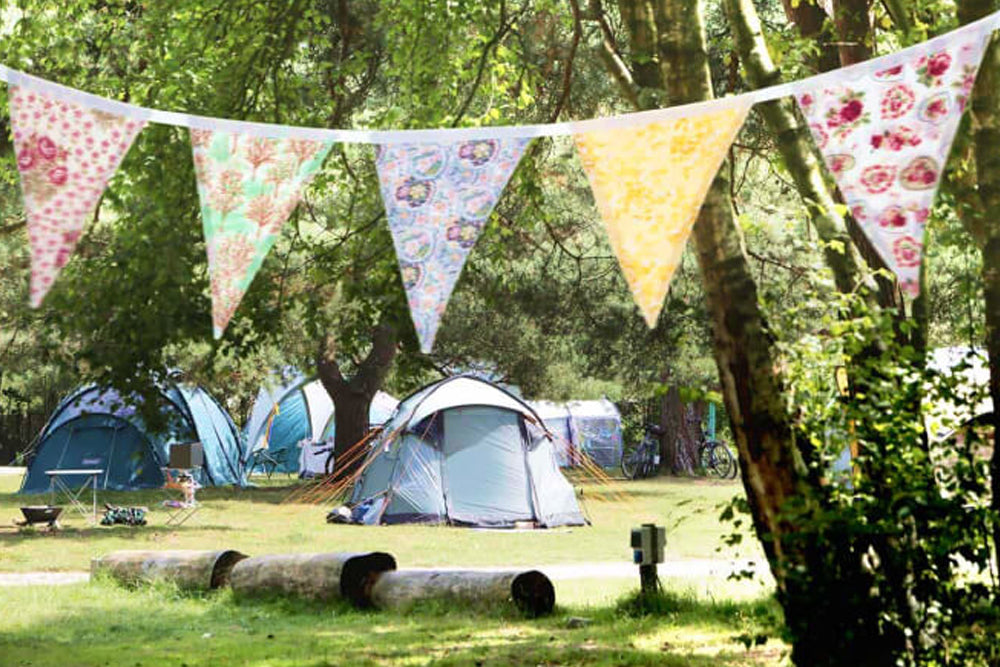 Image of tents and bunting in a grassy wooded field