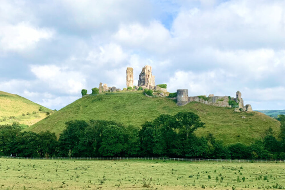 Castle ruins on a hill with trees