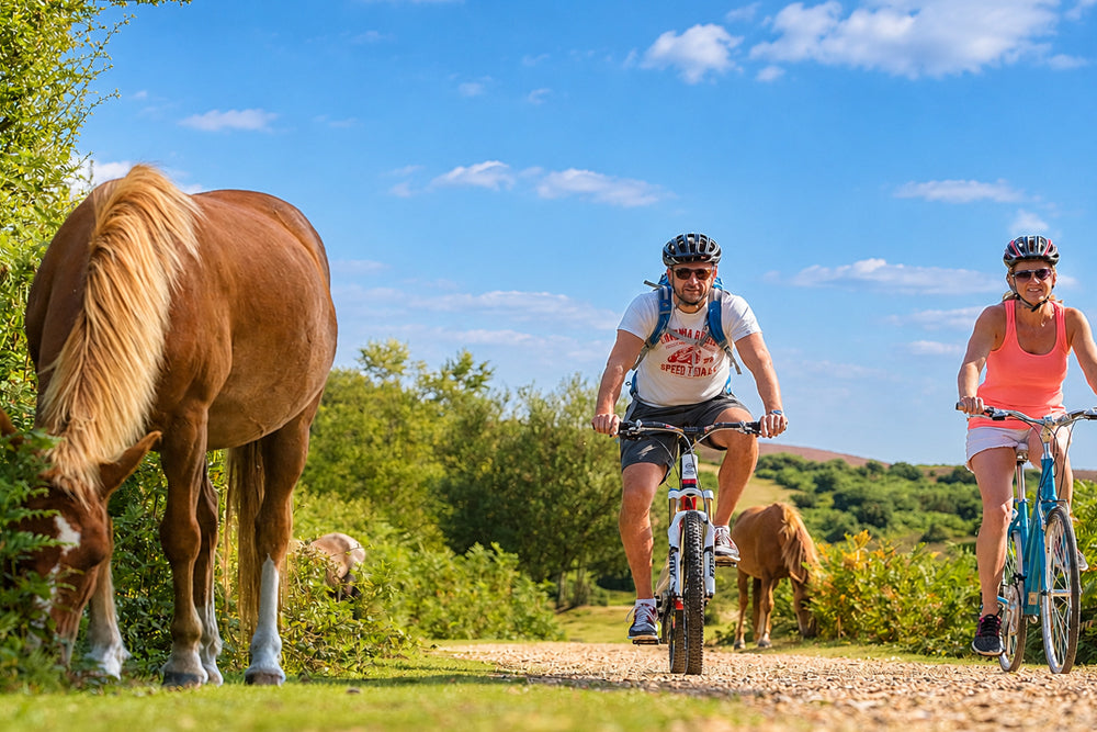 A man and a woman ride bicycles on a dirt path outdoors, with a brown horse grazing on the left and green trees and blue sky in the background.