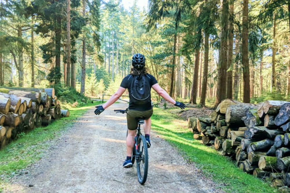 Image of a person cycling along a forest path near piles of logs