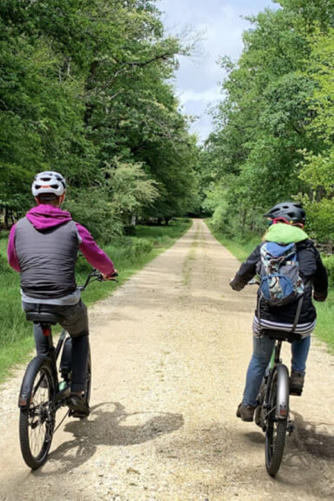 Two people riding bicycles on a tree-lined dirt path