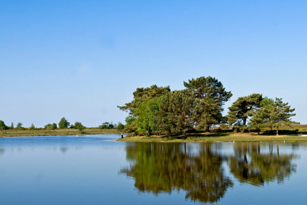Lakeside scene with trees reflecting in the water under a clear blue sky.