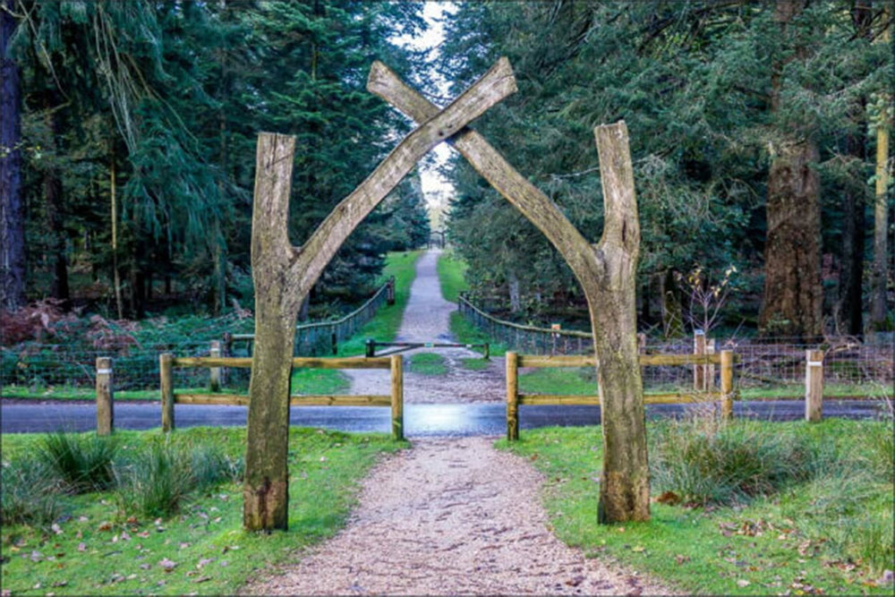 Image of a rustic gateway at Rhinefield Tall Trees Arboretum