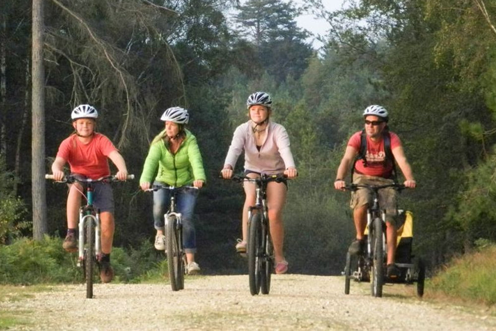 Four people cycling in a woodland setting