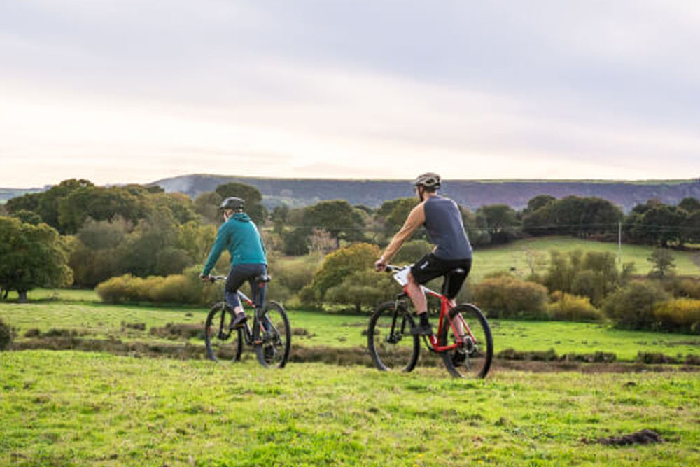 Two people riding bicycles in a grassy field with trees and mountains in the background.