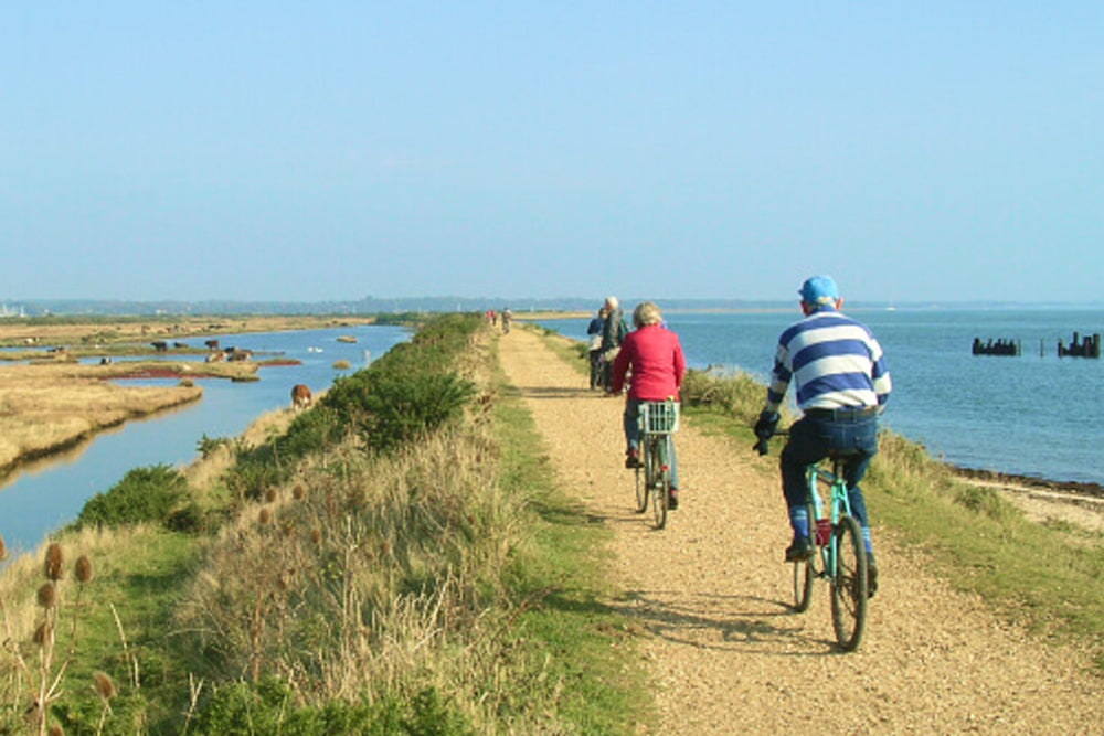 People cycling along a path by a coastal area on a sunny day.