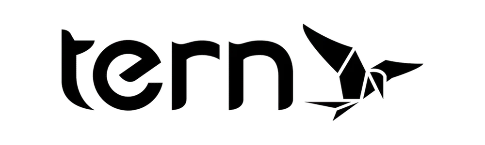 Logo of 'tern' with a stylized bird on a white background