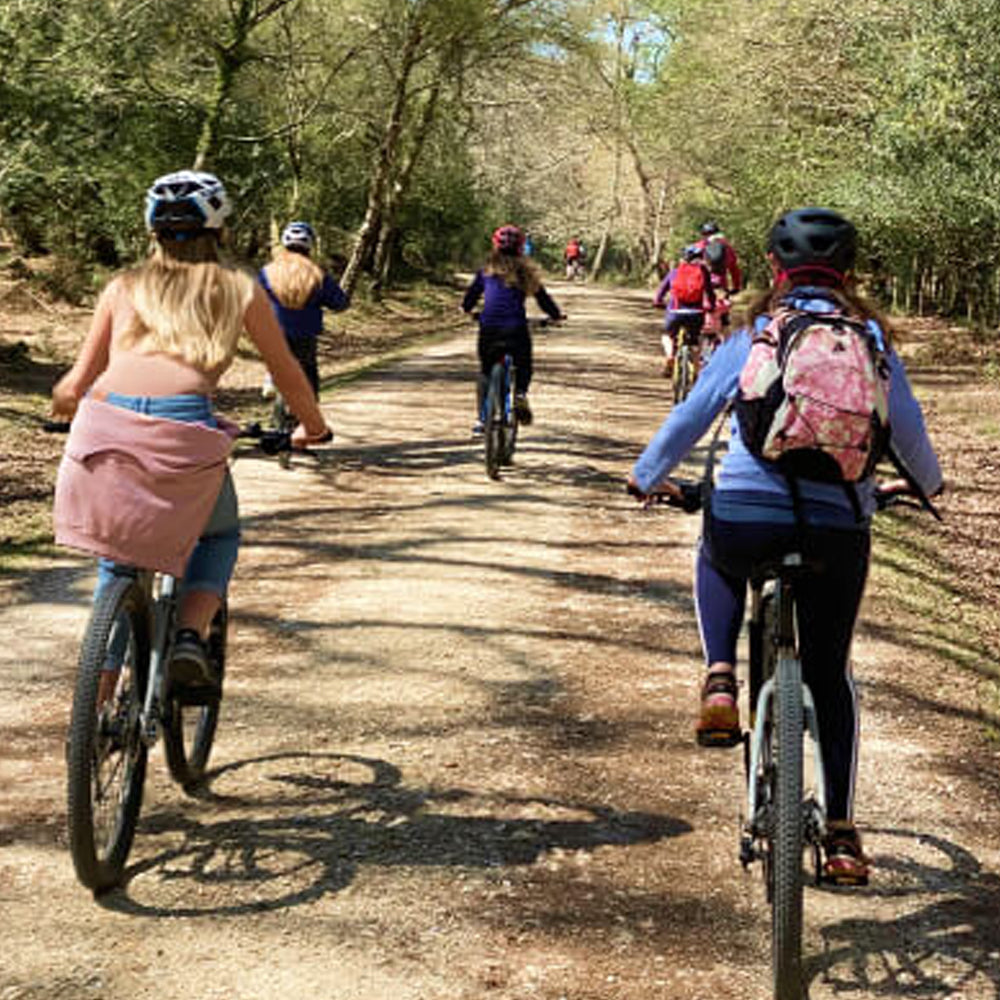 Group of people riding bicycles on a dirt path through a forest